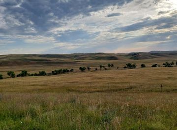 south-dakota/custer-state-park/landmark/buffalo-safari-jeep-tours