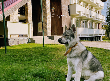 slovakia/nizke-tatry-national-park/landmark/chata-tale-dom-horskej-sluzby