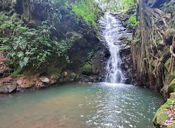 costa-rica/monteverde/landmark/catarata-los-murcielagos-monteverde-waterfall