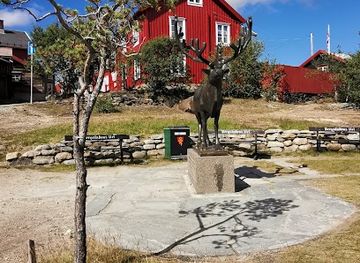 norway/roros/landmark/reinsbukken