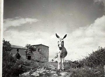 spain/catalonia-pyrenees/landmark/el-maset-del-parellada