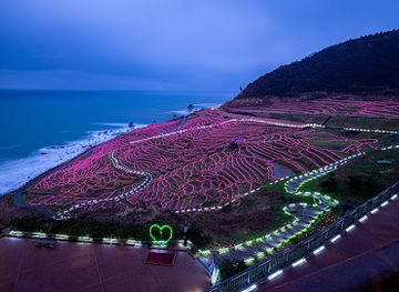 japan/noto/landmark/shiroyone-senmaida-rice-terraces