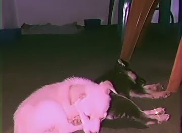 cook-islands/nikao/landmark/nikao-hall