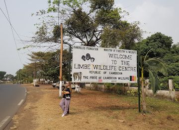 cameroon/south-west-region/landmark/limbe-wildlife-centre