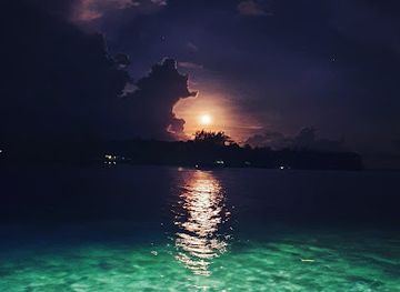 papua-new-guinea/madang/landmark/madang-butchery