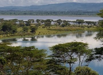 kenya/naivasha/landmark/sharif-tour-boat-safaris