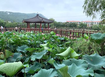 south-korea/jeju-city/aewol/landmark/yeonhwaji