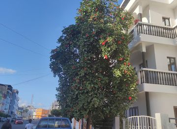 cabo-verde/praia/landmark/bar-secreto-iberico