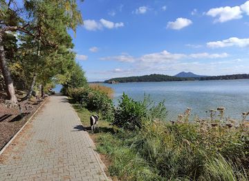 czechia/machovo-jezero/landmark/jarmila-s-rock