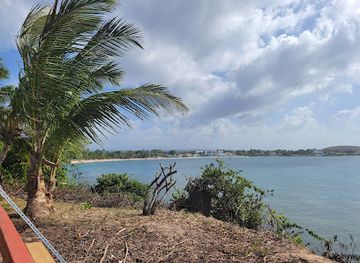 puerto-rico/dorado/landmark/metropol-restaurant