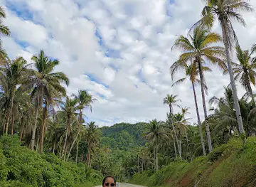 Coconut view v1