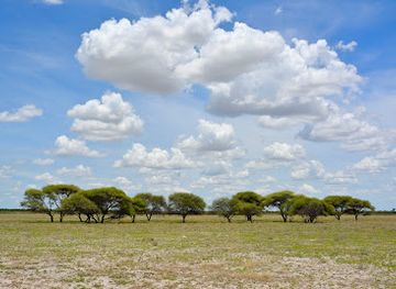 botswana/kalahari-desert/landmark/deception-valley