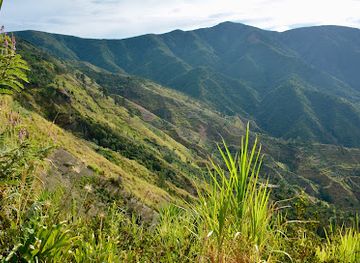 jamaica/john-crow-mountains/landmark/cinchona-botanical-gardens-ja