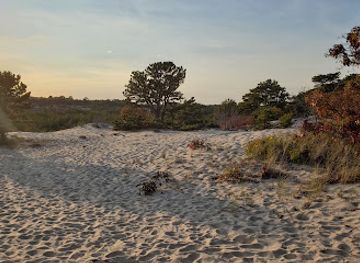 massachusetts/provincetown/landmark/beech-forest