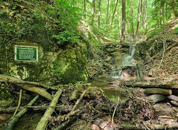 austria/vienna-woods/landmark/siegenfelder-wasserfall