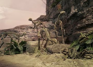 utah/cedar-valley/landmark/mountain-america-museum-of-ancient-life-at-thanksgiving-point