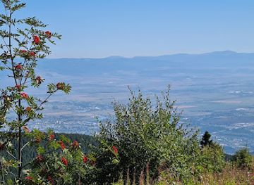bulgaria/vitosha-mountain/landmark/bear-s-meadow