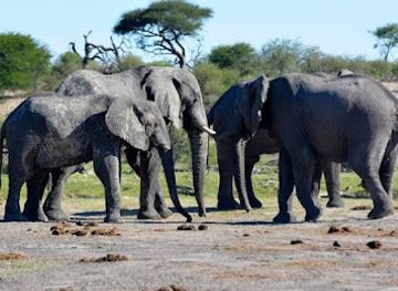 namibia/zambezi/landmark/caprivi-game-park