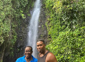 saint-vincent-and-the-grenadines/young-island/landmark/trubb-taxi-tours-svg