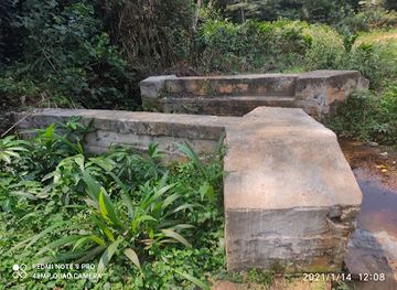 cameroon/east-region/landmark/dja-faunal-reserve