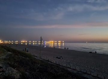 lithuania/palanga-beach/landmark/oldman-parkas-i-love-palanga