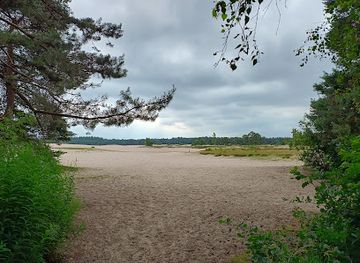 netherlands/utrechtse-heuvelrug/landmark/wandelroute-lange-duinen