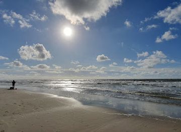 netherlands/dutch-coast/landmark/centrum-mitte