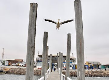 namibia/walvis-bay/landmark/sun-sail-catamarans-namibia