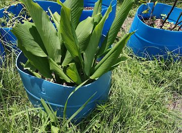 jamaica/surrey-county/landmark/things-to-do-in-jamaica