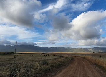 south-africa/overberg/landmark/panthera-africa-big-cat-sanctuary
