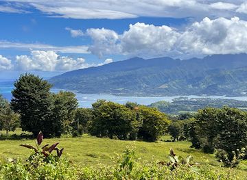 french-polynesia/tahiti-iti/landmark/belvedere-de-taravao