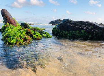 sri-lanka/unawatuna/landmark/turtle-beach