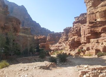 jordan/wadi-araba/landmark/lion-triclinium