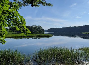 rhode-island/east-greenwich/landmark/elizabeth-spring