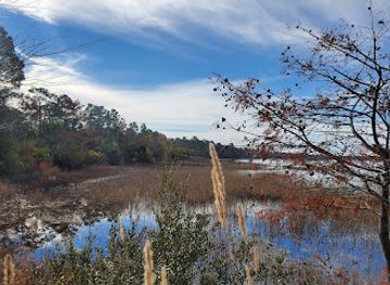 north-carolina/sandhills/landmark/lake-waccamaw-state-park