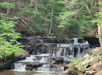 pennsylvania/allegheny-national-forest/landmark/pigeon-falls-trailhead