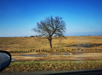 austria/neusiedler-see/landmark/neusiedler-wiesen