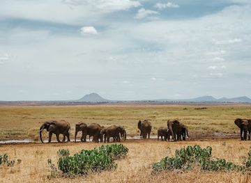 tanzania/kilimanjaro-region/landmark/tarry-adventures-and-safaris