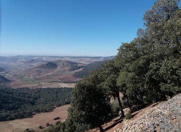 morocco/zaer/landmark/ifrane-national-park