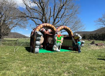 virginia/blacksburg/landmark/blue-ridge-axecade-blacksburg