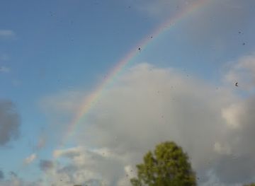 estonia/kärdla/landmark/kardla-lau
