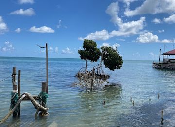 belize/caye-caulker/landmark/richard-s-adventures