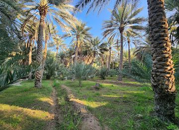 united-arab-emirates/al-batinah-coast/landmark/al-ain-oasis