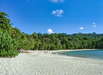costa-rica/manuel-antonio-national-park/landmark/manuel-antonio-beach