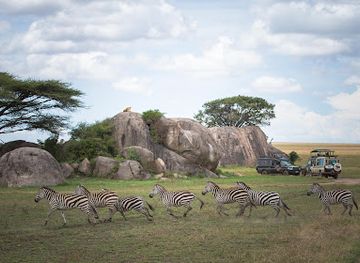 tanzania/arusha/landmark/gosheni-safaris-africa