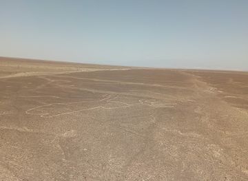 peru/nazca-lines/landmark/the-hummingbird-nazca-lines