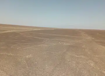 The Hummingbird (Nazca Lines)