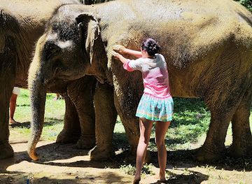thailand/koh-lanta/landmark/lanta-elephant-sanctuary