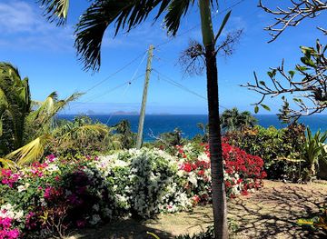 grenada/sauteurs/landmark/armadillo-guesthouse-restaurant