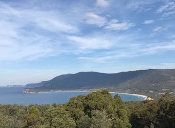 australia/tasmanian-wilderness/landmark/tasmanian-devil-unzoo